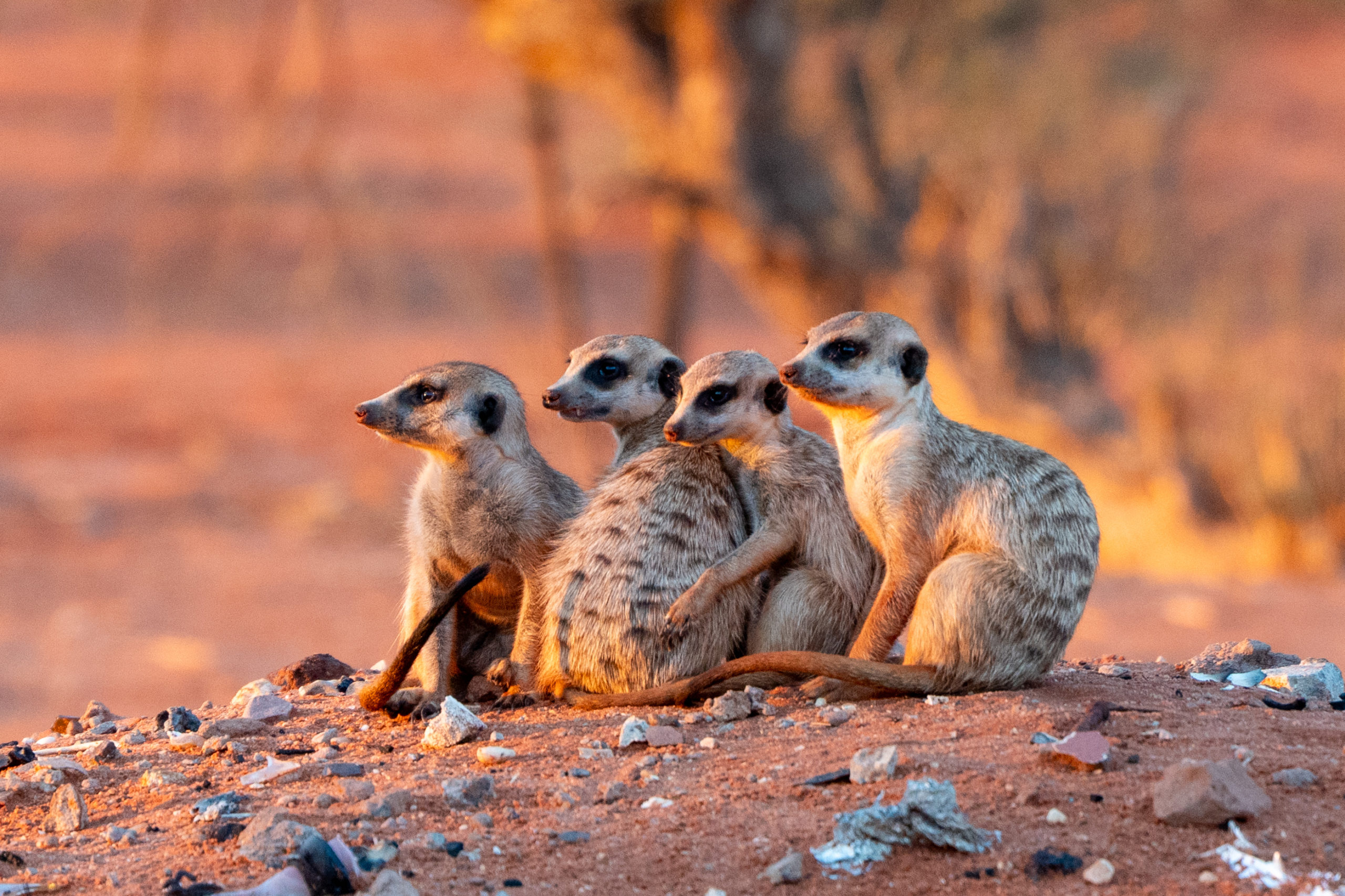 11.-12.03.25 – Alte Kalköfen (Keetmanshoop)