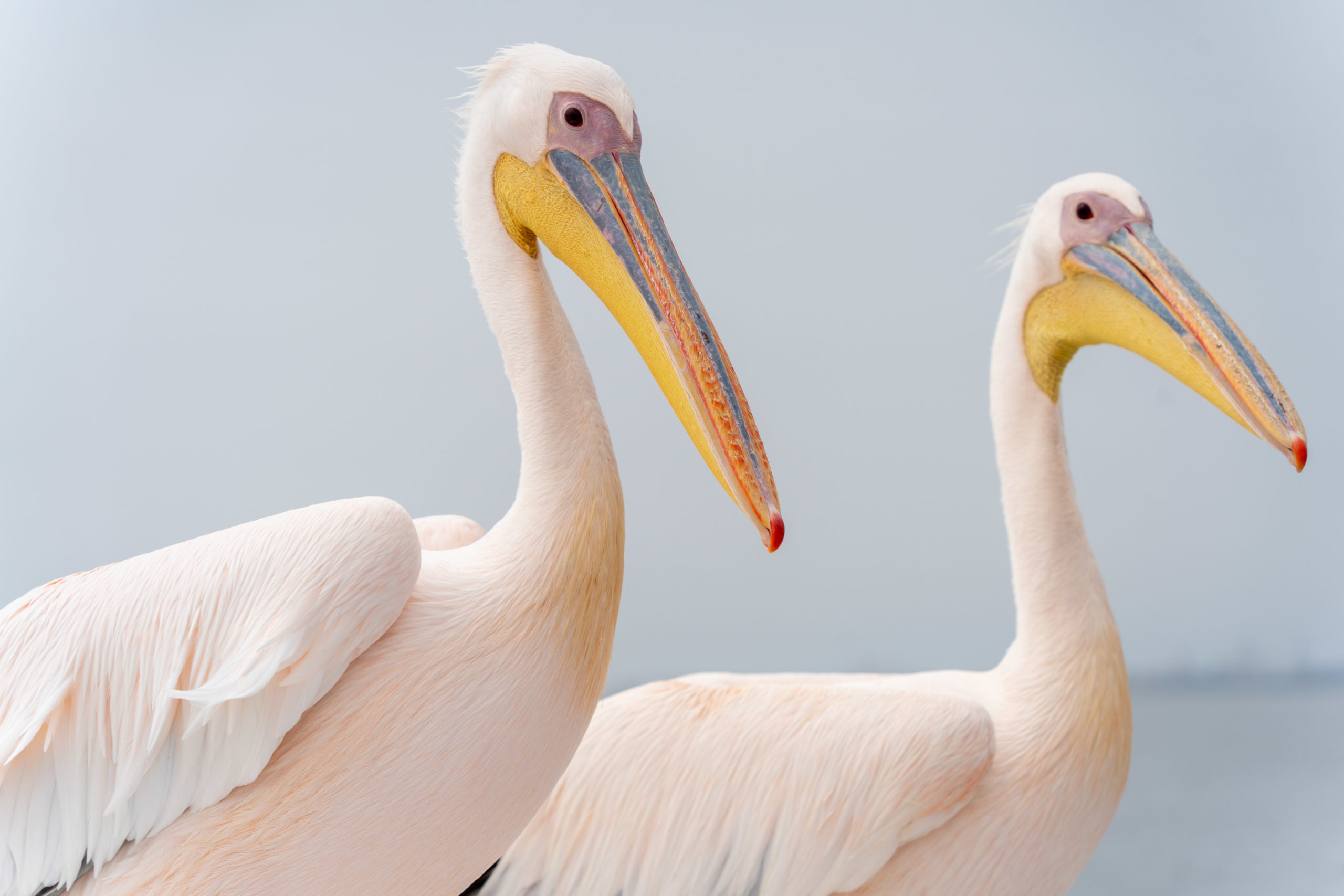 21. – 23.03.25 – Naukluft Park – Swakopmund