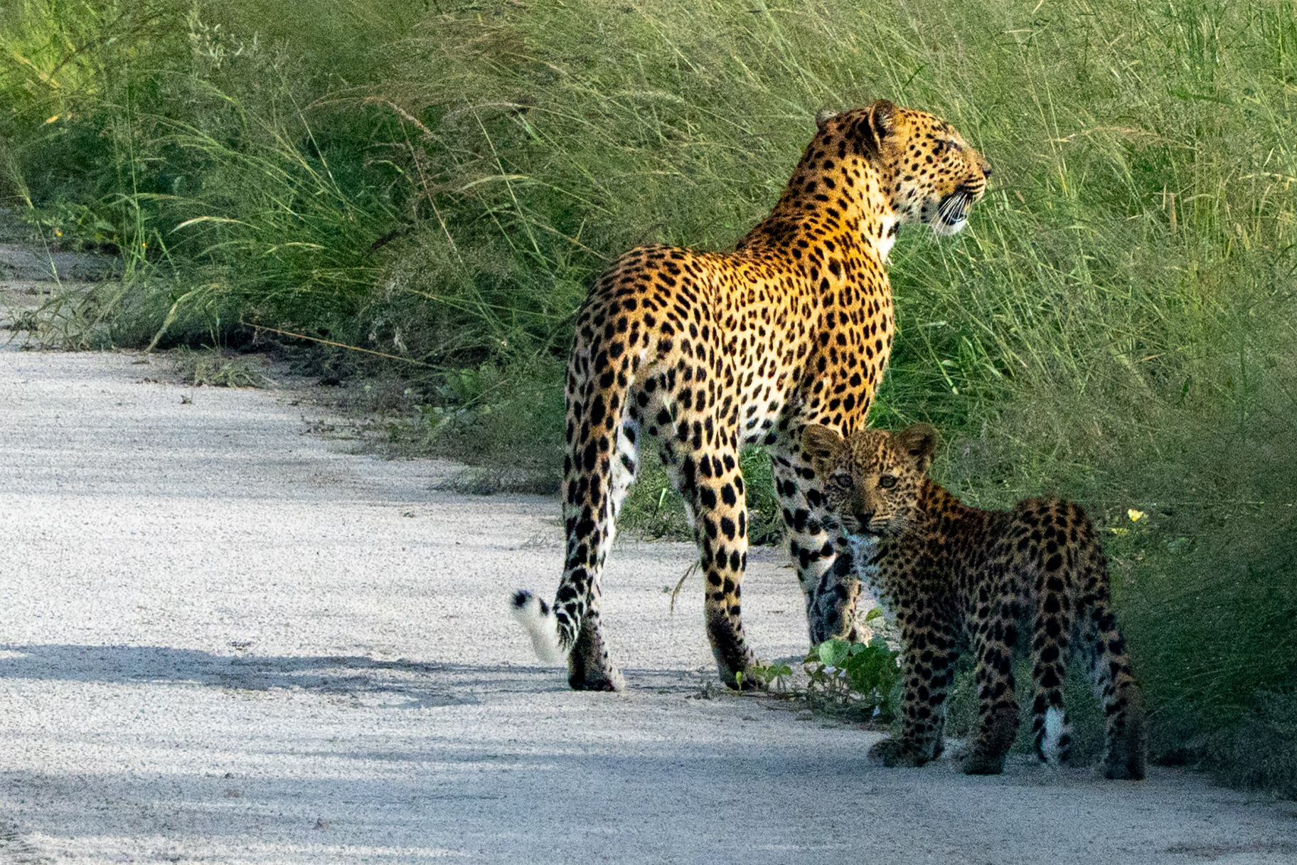 03.04-05.04.25 – Etosha & Onguma
