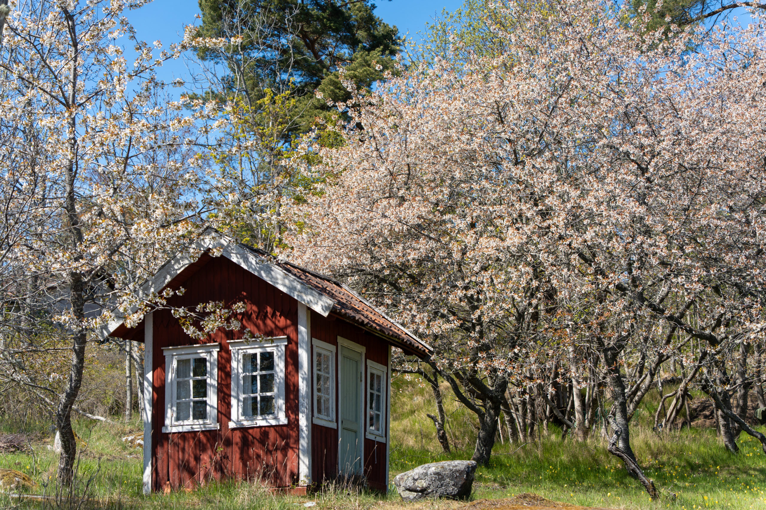 09.05. – 14.05.25 – Stockholm & Schäregarte